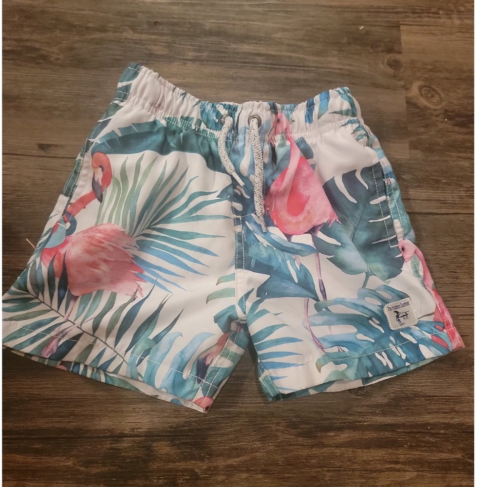 The Endless‎ Summer Boys Flamingo Tropical Swim Trunks White Blue Pink Size 4